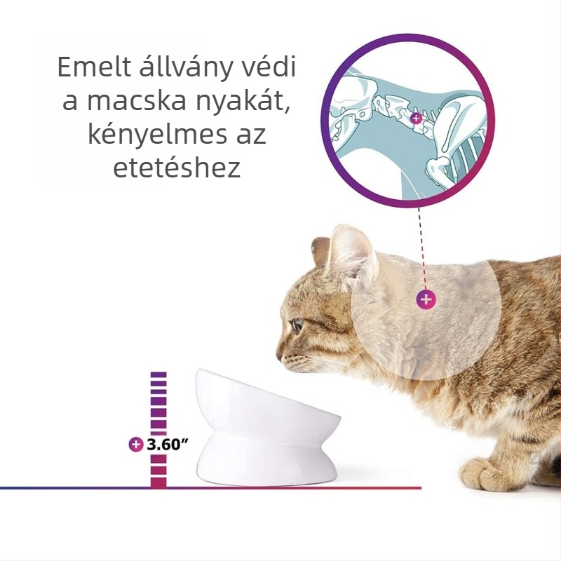 Határokon átnyúló nagykereskedelmi kisállat itatótál kopogásgátló macskaeledel tál magas lábú ferde kerámia macskatál kutyatál nyakvédővel