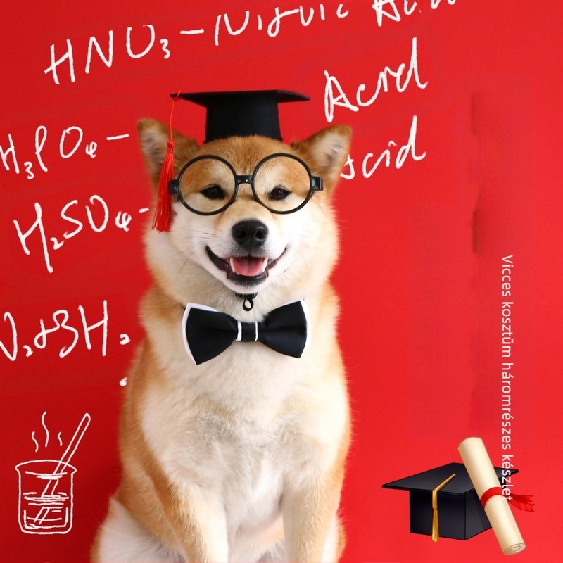 Állatfotózás Doktor sapka Ballagási szezon szett Macska Kutya Szemüveg Csokornyakkendő Úriember Partiruha Kellékek Filc