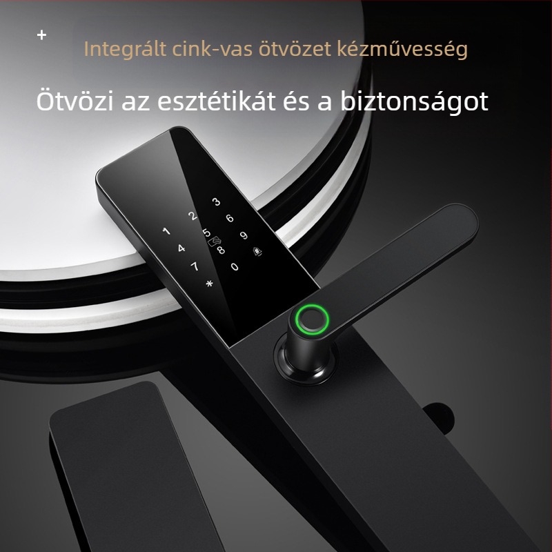 Ingyenes szállítás Arcfelismerő intelligens ajtózár Automatikus ujjlenyomat-zár Jelszózár Otthoni biztonsági ajtó Faajtó Elektronikus zár