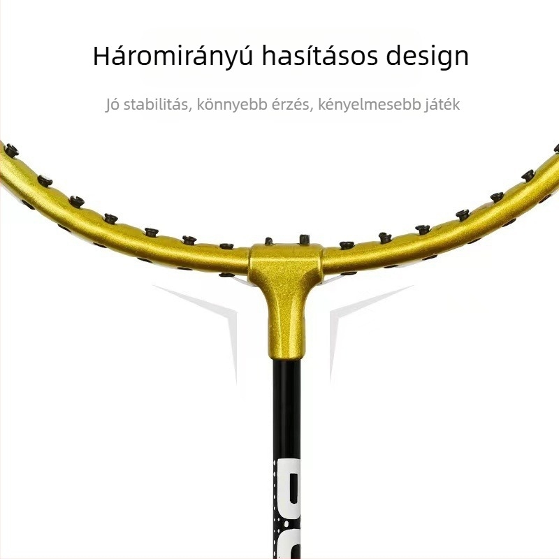 Robbanások raktáron felnőtt tollaslabda ütő diákoknak kezdő edzéshez ferroalloy osztott ütő egy generációnyi haj