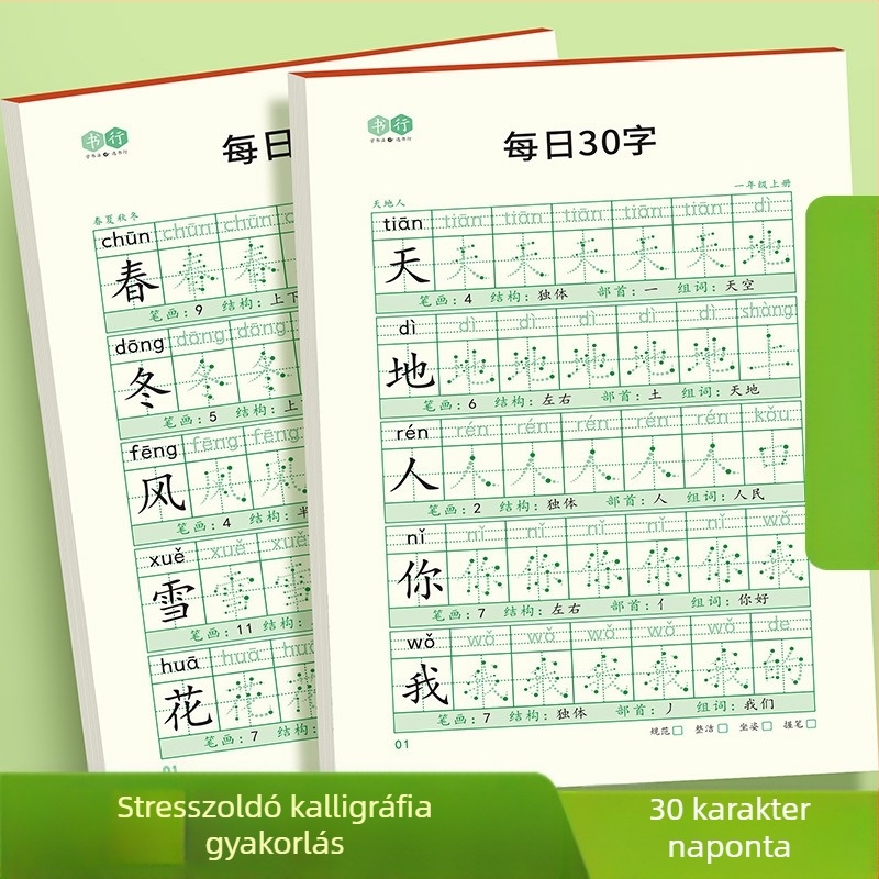 [Dekompressziós szinkron füzet, napi 30 szó] Pontmátrix Új szavak Általános iskolás tanulók 1-6. osztályos kínai festészet piros kalligráfia gyakorlófüzet