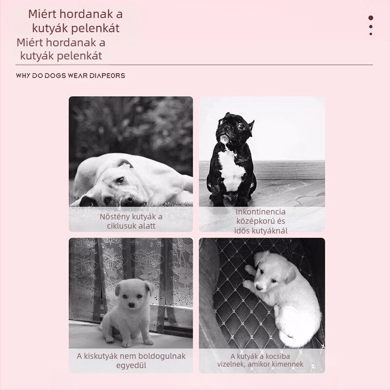 Kutya élettani pelenkák nőstény és hím kutyáknak, higiéniai betétek, lélegző húzódzkodós nadrágok