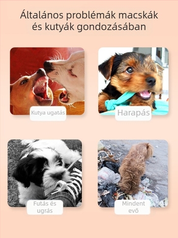 Kutyakiképző bot háziállatoknak, kutyakiképző bot, Love Whip kiképzés, kutyaoktatás, nem kutyáknak való kellékek, ingyenes szállítás