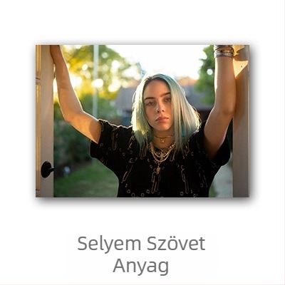 Aliexpress határokon átnyúló Billie Eilish hírességposzter, Billie Eilish európai és amerikai karakterű hálószobai és nappali falikép