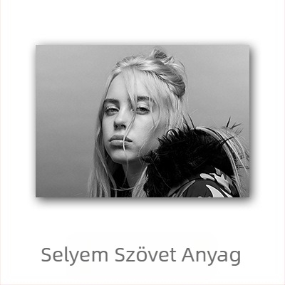 Aliexpress határokon átnyúló Billie Eilish hírességposzter, Billie Eilish európai és amerikai karakterű hálószobai és nappali falikép