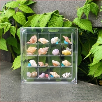 Ünnepi kreatív akril átlátszó kagyló tárolódoboz tengerparti kő kis kagyló kollekció mágneses tárolódoboz