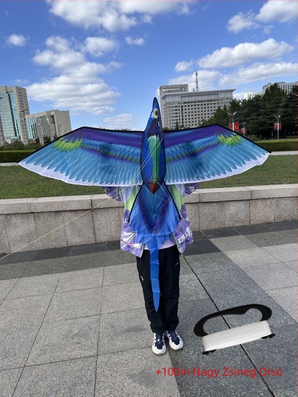 Új szimulációs sárkány gyerekeknek, sas repül madár szellő, könnyen repülhető, nagykereskedelmi dinamikus szimulációs sárkány Weifang sárkánygyártó