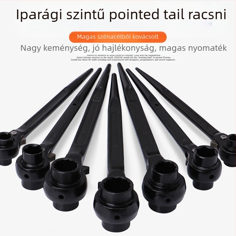 Dedong csattos kulcs, kétirányú működés; króm-vanádium acél; matt felület; tömeg 1