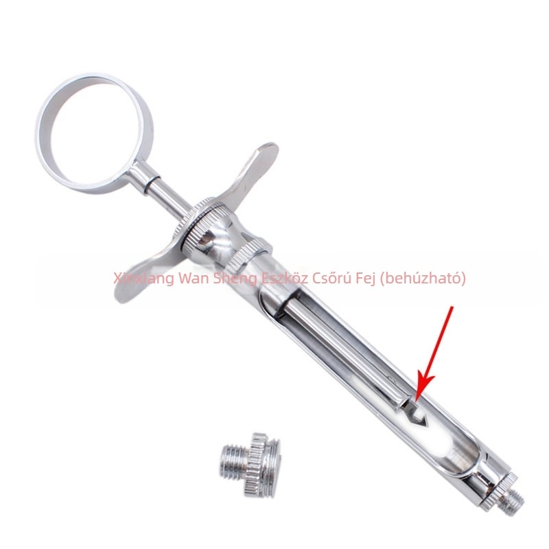 Fogászati fecskendő két fejjel: kampós és éles vég, szájüregi eszköz rozsdamentes acélból