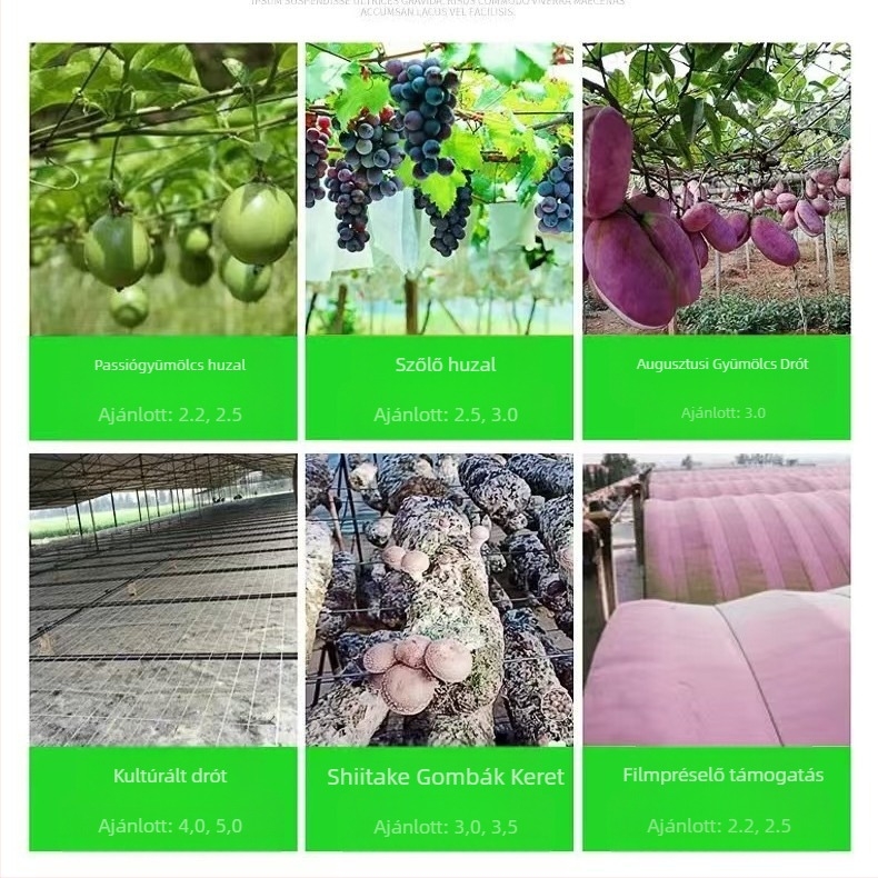 Magas szilárdságú PET poliészter kerti kötél üvegházhoz: függönytámasz, madárvédő háló kötél, szőlő- és passion fruit támaszvonal. Márka Ruihe new materials; alkalmas ültetvények keretének kiépítésére és nevelőházakhoz.