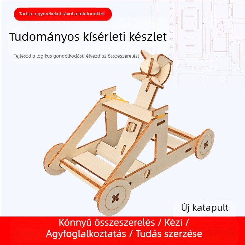 Fából készült tudományos kísérleti készlet DIY fizika invenciókhoz, nem elektromos, többfunkciós, 7-14 éveseknek