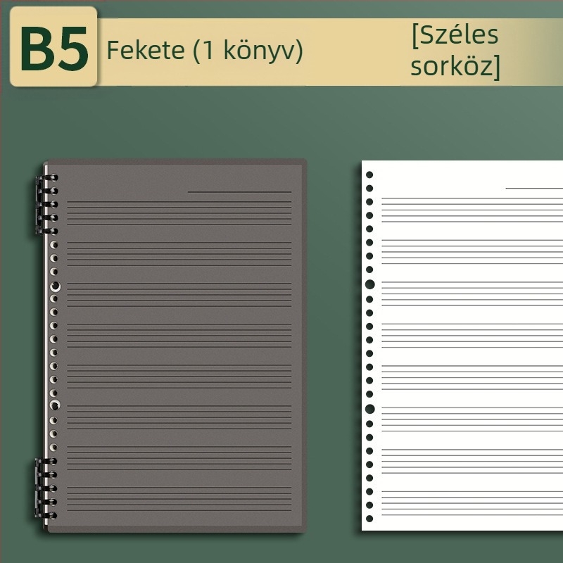 Sijin ötvonalas kottafüzet lekapcsolható lapokkal, modell A5/B5, Lin Dao papír, 60 lap, 26 lyuk