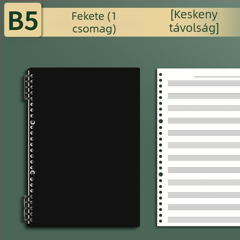 Sijin ötvonalas kottafüzet lekapcsolható lapokkal, modell A5/B5, Lin Dao papír, 60 lap, 26 lyuk