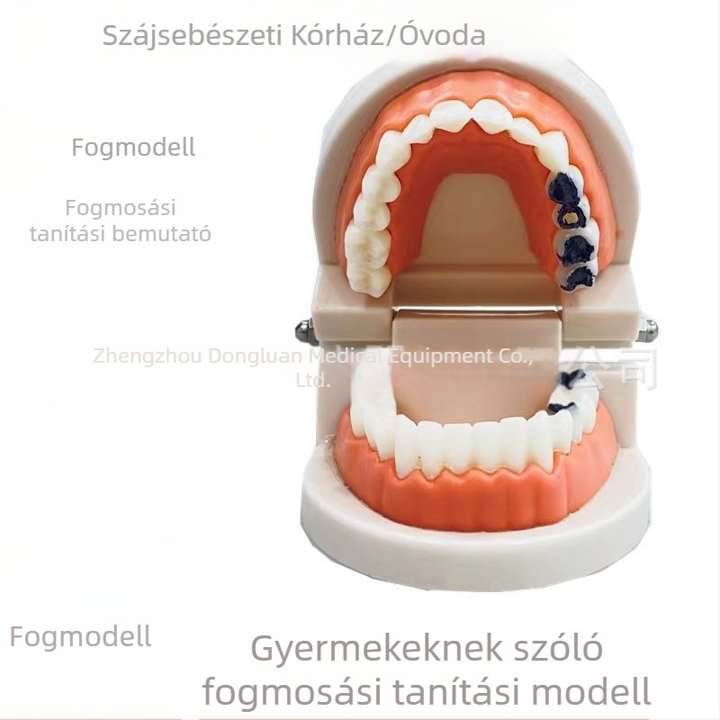Shang Shang felnőtt fogászati oktatási modell, egyszer használatos, 90 g, 100 darabos csomag