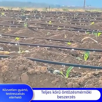 Kétlyukas Patch-Type csepegtető öntözőszalag üvegházas növényekhez (zöldségek, paprika, eper) – Golden Autumn