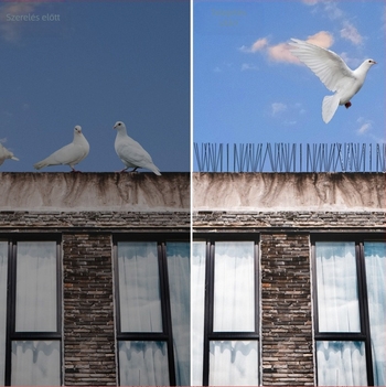 Balkon madárriasztó tüskék – Modell 223, műanyag és rozsdamentes acél, madárriasztás