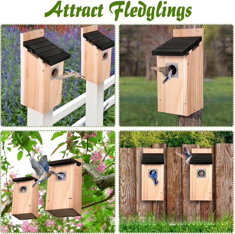 Fából készült kültéri függő madárház etetővel – kardinal költődoboz