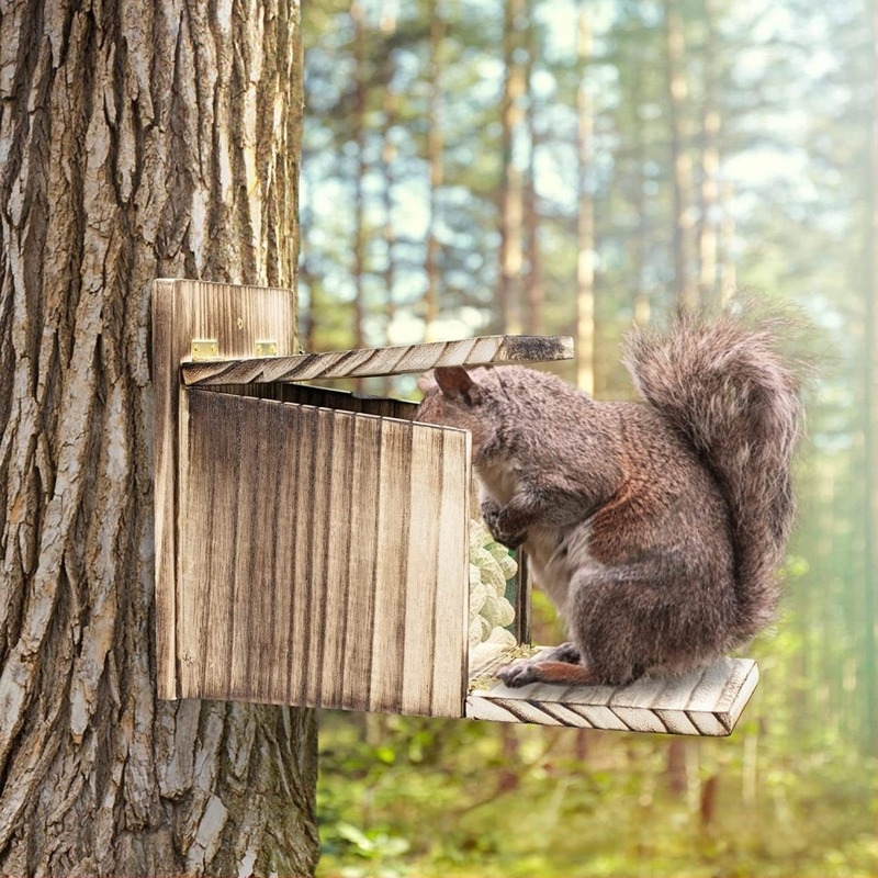 Fa madár- és mókus etető, függő kivitelben, kültéri kerthez