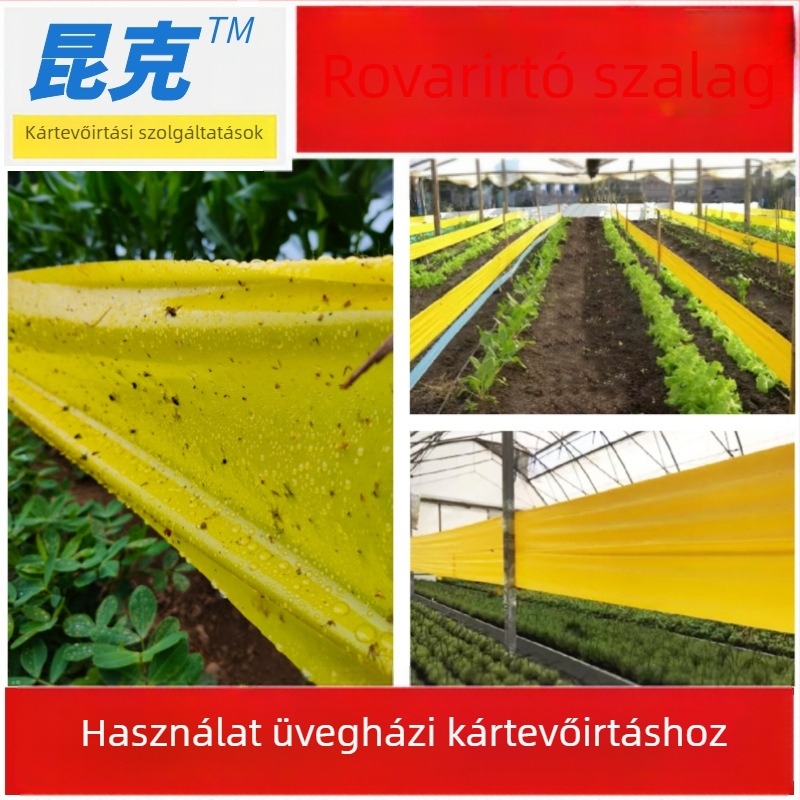 Ragasztó rovarszalag, Kunkel, PE anyagú, fizikai rovarfogásra, zöld kártevő-kezelés