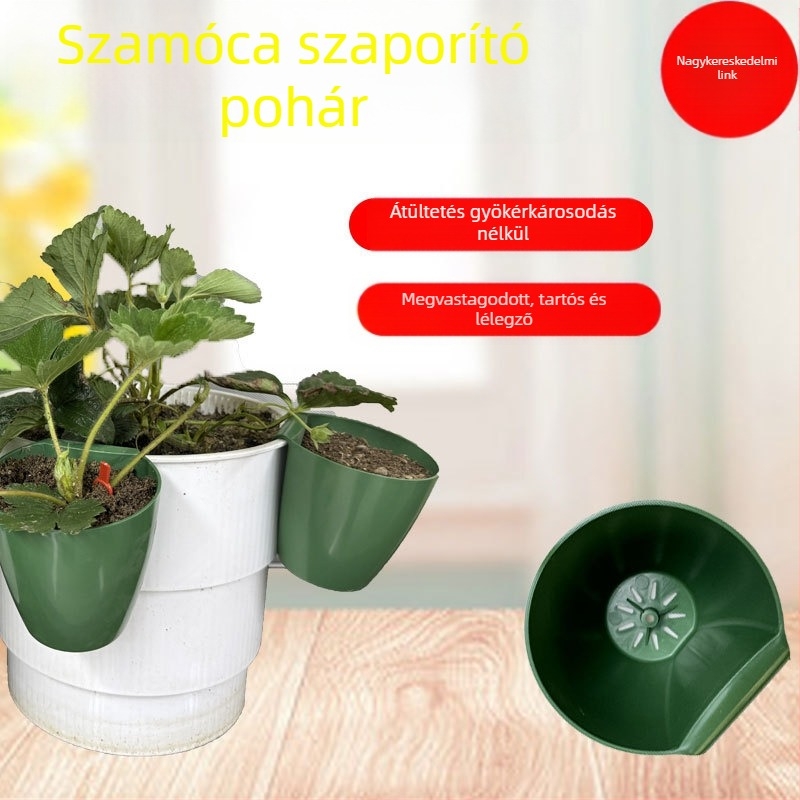 Műanyag szaporító pohár eper palántákhoz, üvegházi átültetéshez, légáteresztő kialakítás