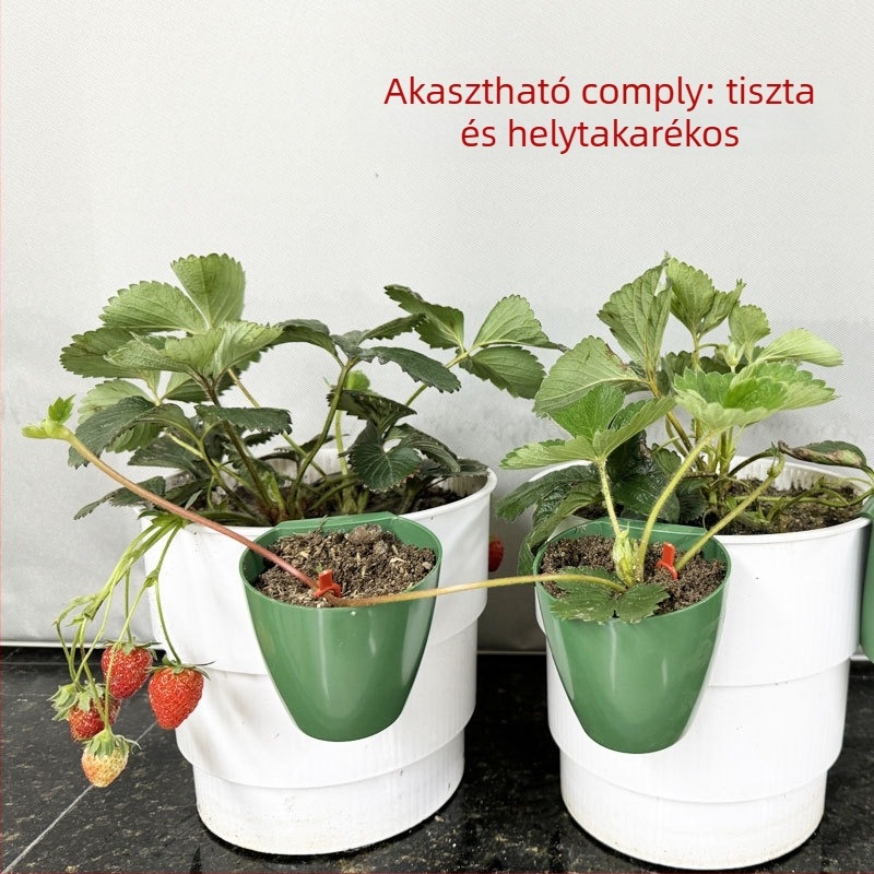 Műanyag szaporító pohár eper palántákhoz, üvegházi átültetéshez, légáteresztő kialakítás