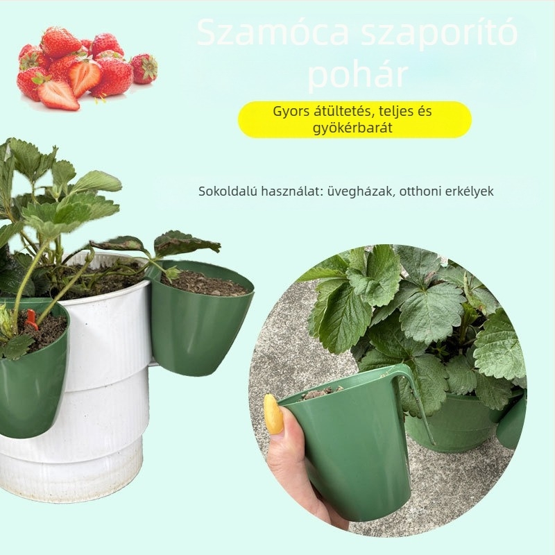 Műanyag szaporító pohár eper palántákhoz, üvegházi átültetéshez, légáteresztő kialakítás