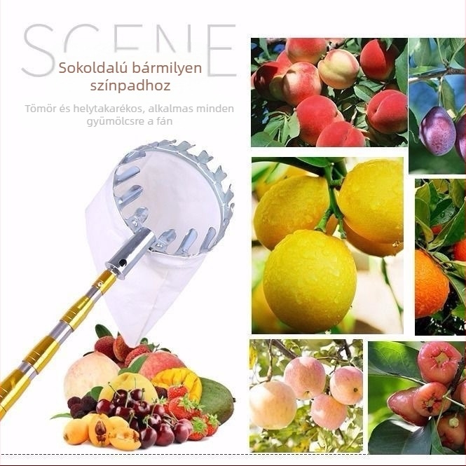 Teleszkópos gyümölcsszedő eszköz ágakra metszőollóval és kampóval — rozsdamentes acél, 5–6 rész, állítható hossz