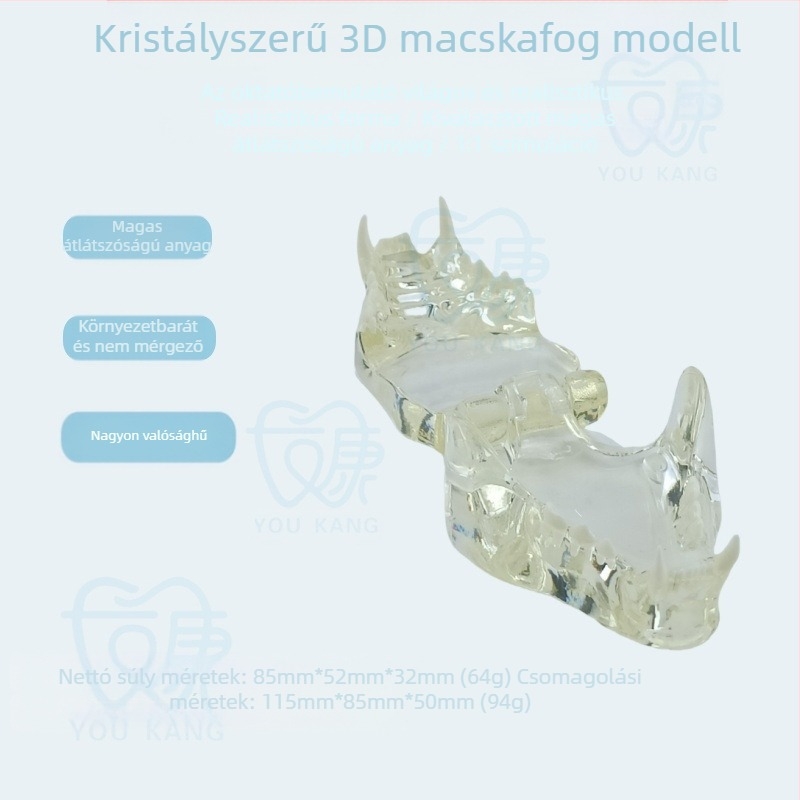 Háziállatok dentális modellje oktatáshoz, Youkang Technology, OEM fogmodell, dobozban 100 darab, kategória: egyéb szájhigiéniai kémiai termékek