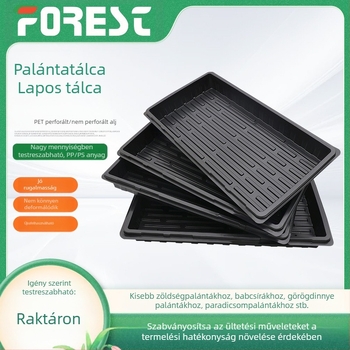 Téglalap alakú csírasztó tálca perforált vagy zárt, megerősített, tartós PET anyagból