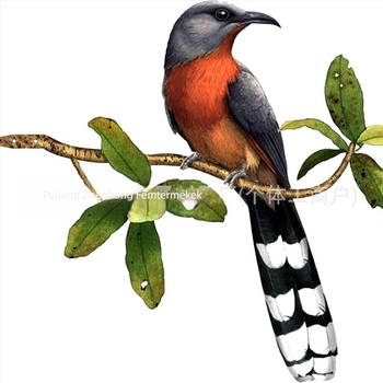 Fém madár falikép – kertdekoráció vasból, modern minimalist stílus, márka drstrydt