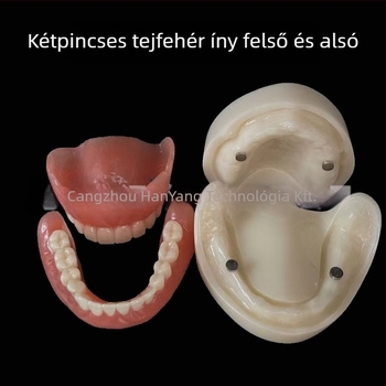 Gyakorló fogimplantátum modell – felső- és alsó állkapocs, fél szájban 2 vagy 4 implantátummal