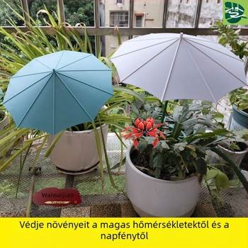 Üvegszálas növényparasol kültéri használatra – napvédő és esővédő a sukulent bonsaiok számára a cserépben