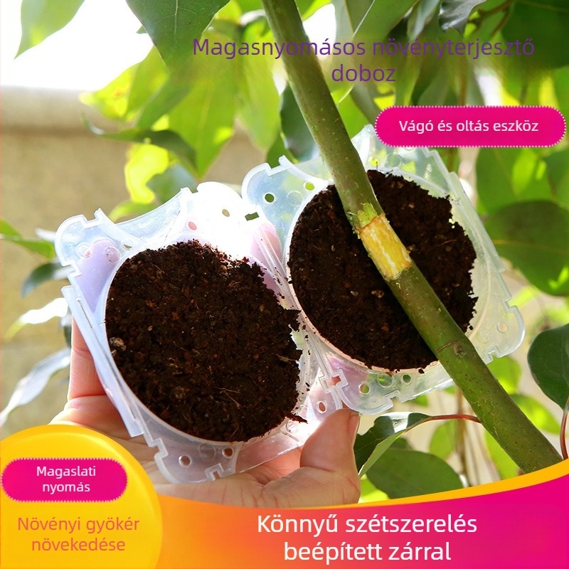 Mo Si Hui Magasnyomású oltódoboz oltáshoz — PP műanyag