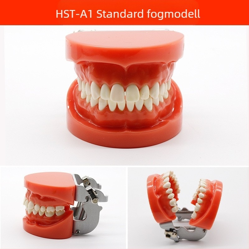 Fogorvosi oktatási modell patológiás rekonstrukcióval és standard implantátummal formával — helyi márka, nyomtatott logóval, fogászati oktatásra