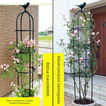 Kerti futó növényekhez tervezett keret rózsák és clematis számára, esernyő alakú keret, gomba alakú virágtartó, zöld növények támasza kültéri használatra (Stílus: Pastoral; Növekedési hőmérséklet: Egyéb; Növényfajták: Egyéb)