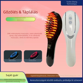 ABS anyagból készült elektromos fejbőrmasszázs fésű a haj növekedéséért, esszenciális olaj útmutatással és gyógyszeres alkalmazással