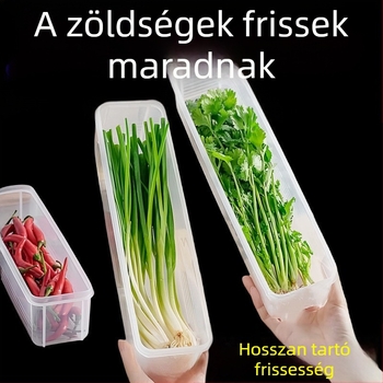 Hűtőszekrényhez való tároló doboz korianderhez és zöldhagymához — nordic stílus, ezüstfém, nem szabványos forma