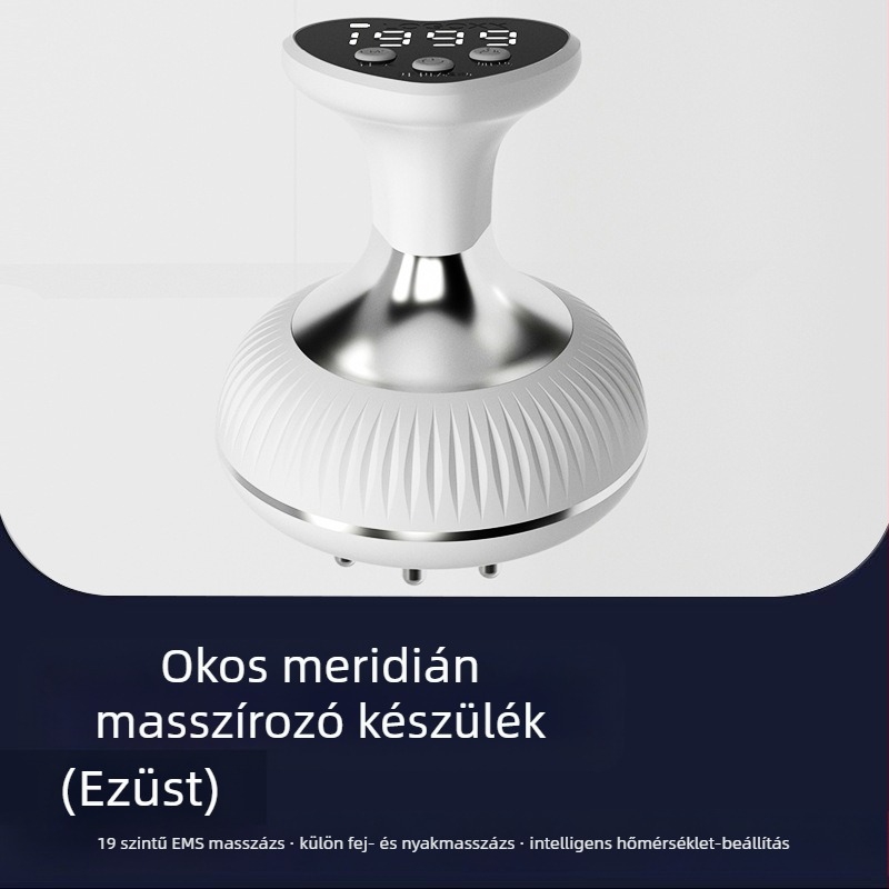 X1009 Hordozható elektromos meridián masszírozó teljes testre, újratölthető, 55°C hőmérséklet-szabályozás, fokozatmentes sebesség, ABS ház, 1200mAh akkumulátor