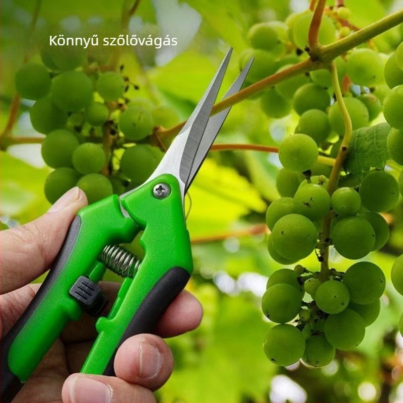 Szőlőmetsző olló, rozsdamentes acél, multifunkcionális kerti olló virágokhoz és gyümölcs- és zöldségszedéshez