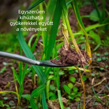 Kerti kézi ásó fokhagyma és vad zöldségek ásására – kézi eszköz a kertben