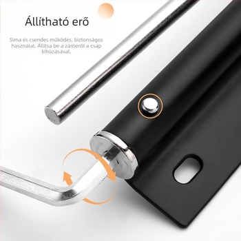 Ajtócsukó rozsdamentes acélból - hidraulikus, állítható; modell Section D; fa- és alumínium ajtókhoz