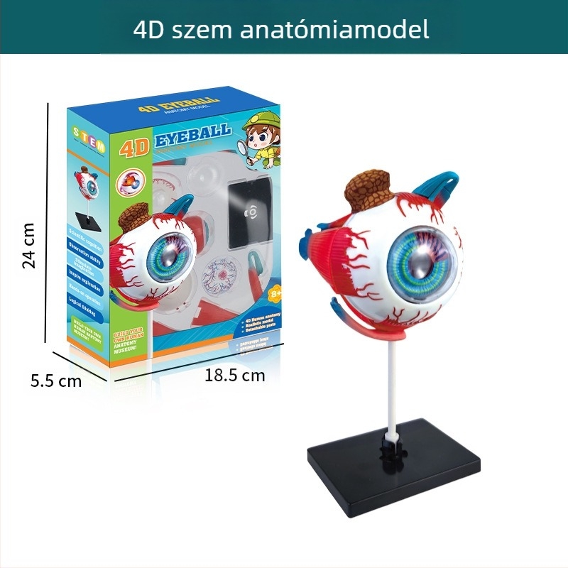 Biológia/Kémia oktatási játék szervek és váz összeállítására, Tengxin, műanyag, 7–14 éveseknek