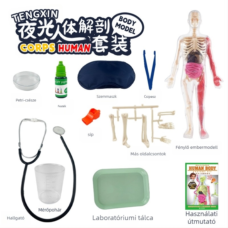Biológia/Kémia oktatási játék szervek és váz összeállítására, Tengxin, műanyag, 7–14 éveseknek
