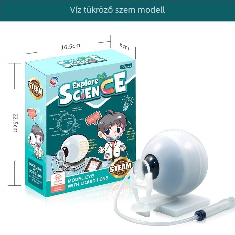 Biológia/Kémia oktatási játék szervek és váz összeállítására, Tengxin, műanyag, 7–14 éveseknek