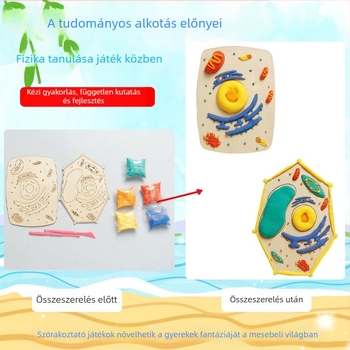 Növényi- és állati sejt modell oktatási készlet, fa alapanyagból, DIY, nem elektromos, 7–14 éveseknek
