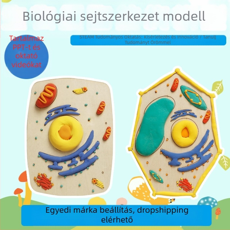Növényi- és állati sejt modell oktatási készlet, fa alapanyagból, DIY, nem elektromos, 7–14 éveseknek