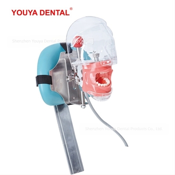 Fogászati oktatási fejmodell levehető öntőformával – rezin szájmodell képzéshez (6 darabos készlet)