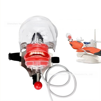 Fogászati oktatási fejmodell levehető öntőformával – rezin szájmodell képzéshez (6 darabos készlet)