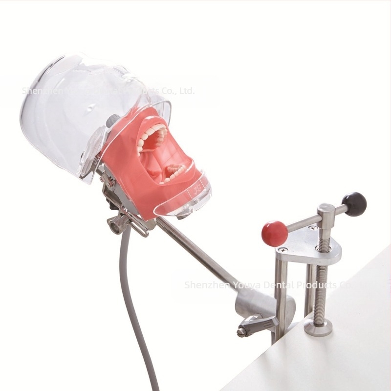 Fogászati oktatási fejmodell levehető öntőformával – rezin szájmodell képzéshez (6 darabos készlet)