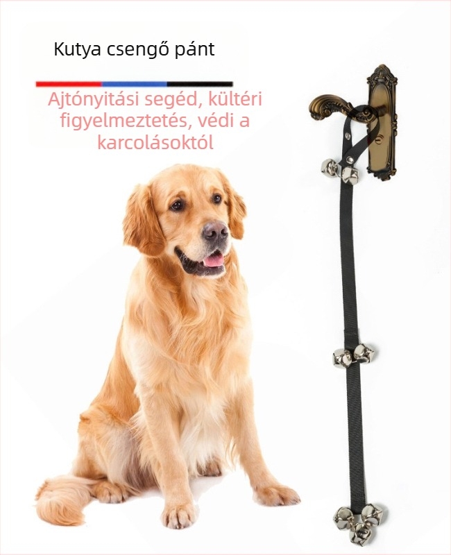 Nylon háziállat-kötél csengővel – Bandari, edzés póráz, licencelt magáncímke